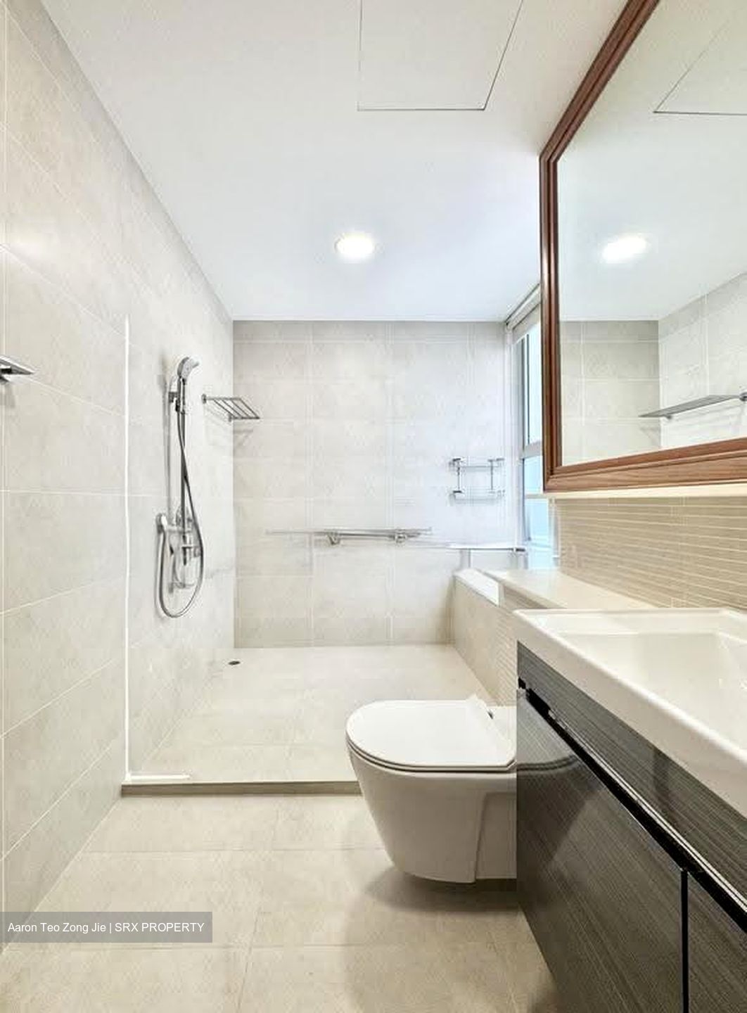 Amber Gardens (D15), Condominium #617541611